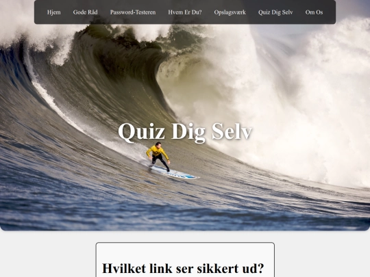 sikkerhed/quiz screenshot