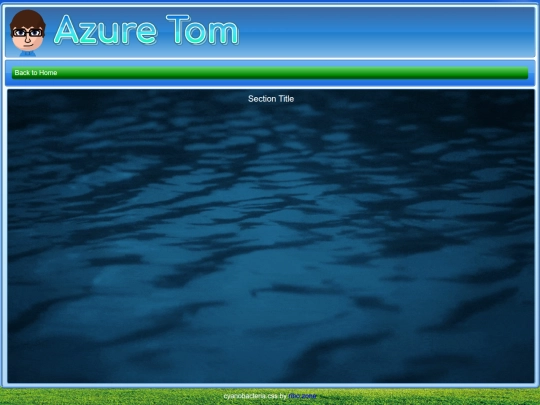 template screenshot