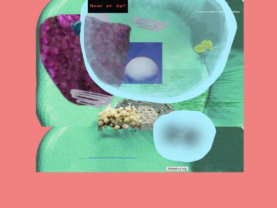 fruma screenshot
