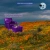 poppyfield.neocities.org avatar