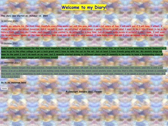 diary screenshot