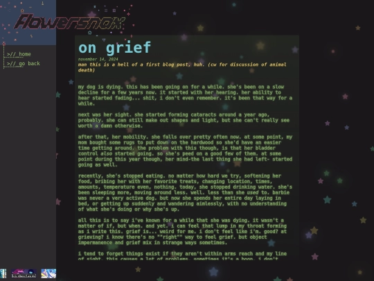 blog/11-14-24 screenshot