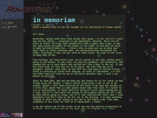 blog/11-17-24 screenshot