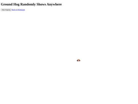 resources/random-ground-hog screenshot