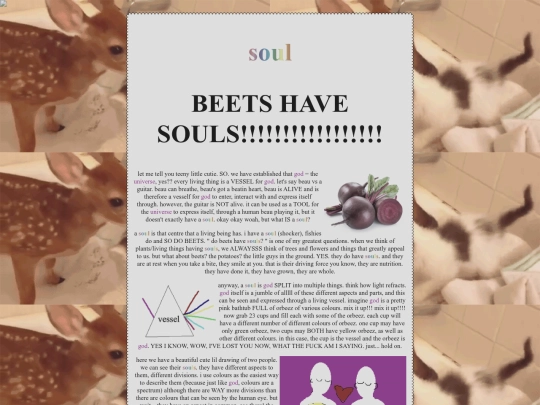 scripture/soul screenshot