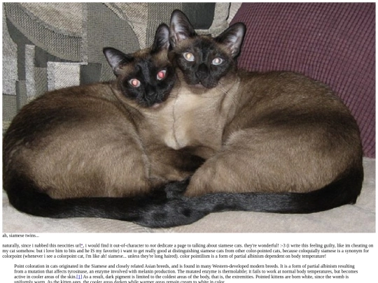 1/cats/breeds screenshot
