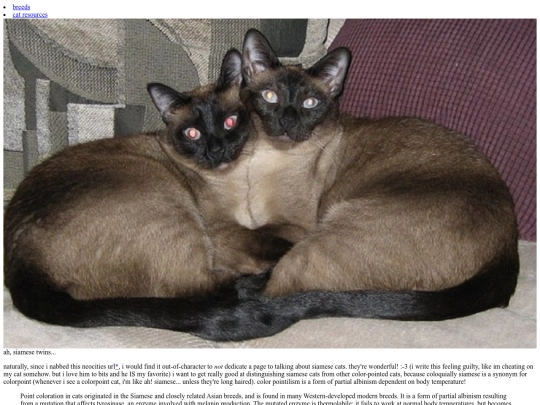 site/data/cats screenshot