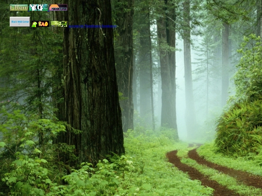 coolneo screenshot