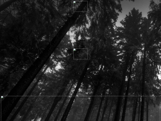 gallery screenshot