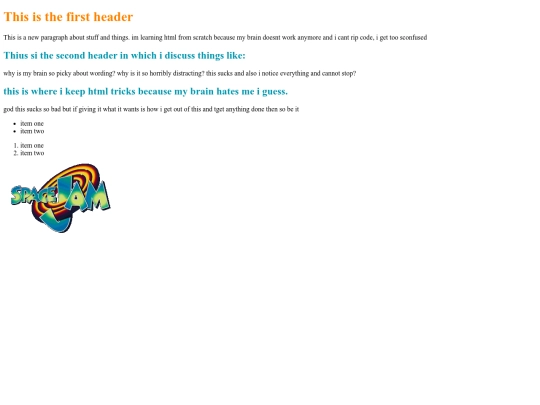 codediary screenshot