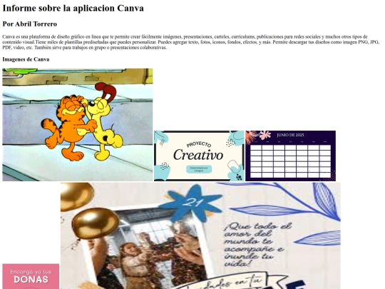 informe screenshot