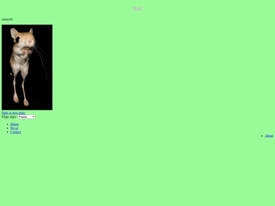 hola/indexpocho screenshot