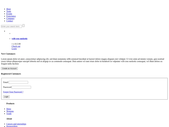 login screenshot