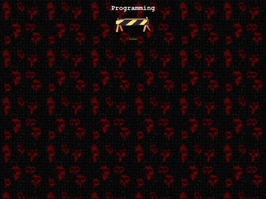 programming screenshot