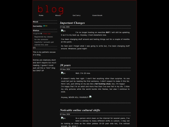 blog screenshot