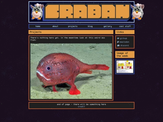 projects screenshot