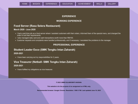MYRESUME/experience screenshot