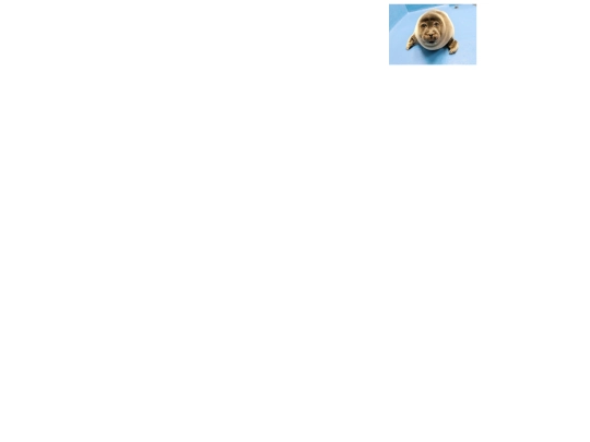original screenshot