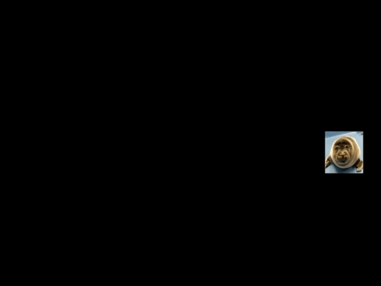 screensaver screenshot