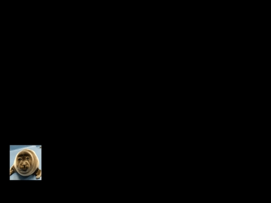 ssOLD screenshot