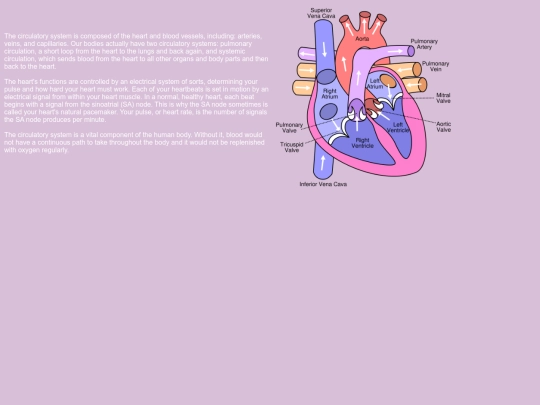 CirculatorySystem screenshot