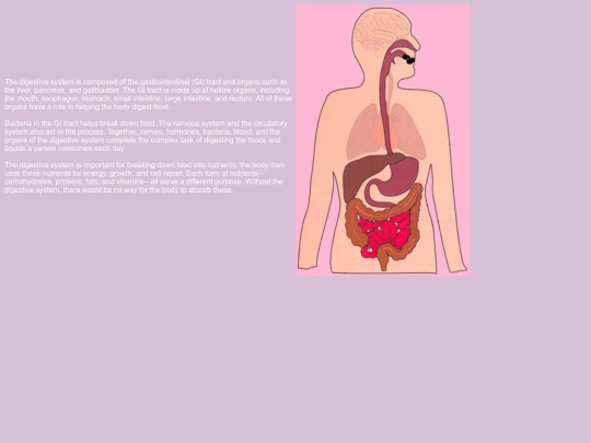 DigestiveSystem screenshot