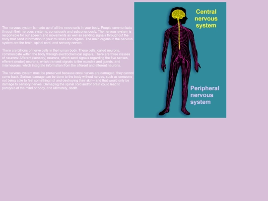 NervousSystem screenshot