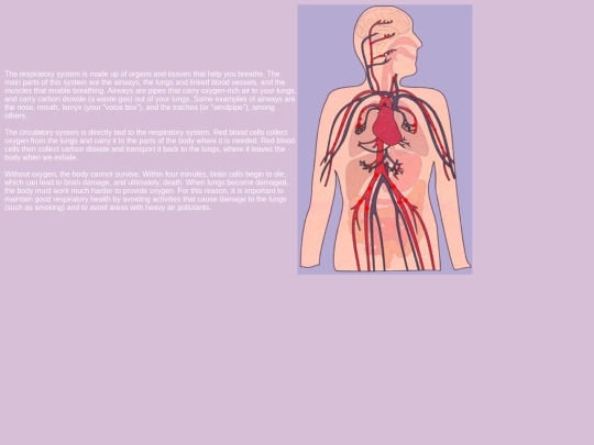 RespiratorySystem screenshot