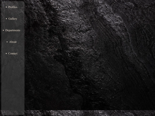 project1/homePage screenshot