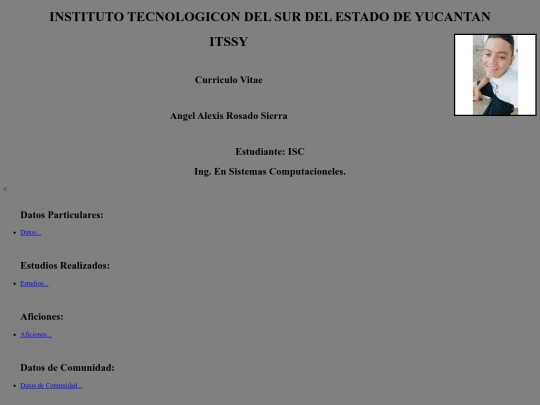 Curriculo Vitae/index/curriculo vitae screenshot