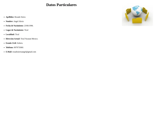 Curriculo Vitae/index/datos particulares screenshot