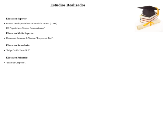 Curriculo Vitae/index/estudios realizados screenshot