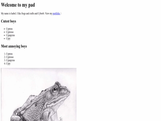 index screenshot