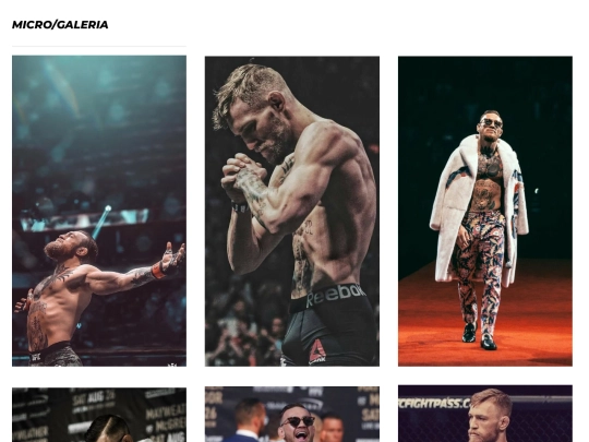 galeria/microgaleria screenshot