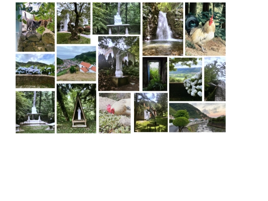 Art/photos screenshot