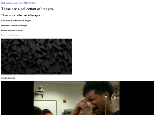 WebPageDesign/Pictures/Pictures screenshot