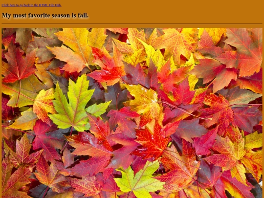 WebPageDesign/RandomTopicPage/RandomTopicPage screenshot