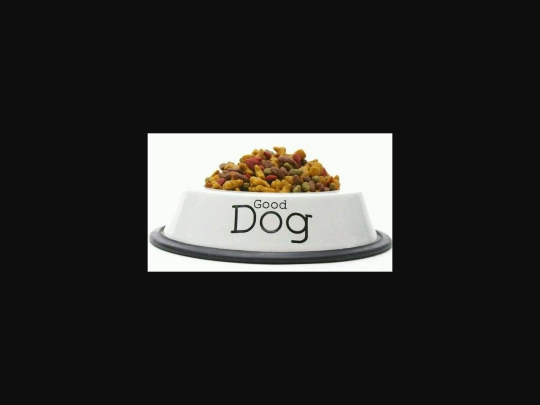dogfood.jpg screenshot