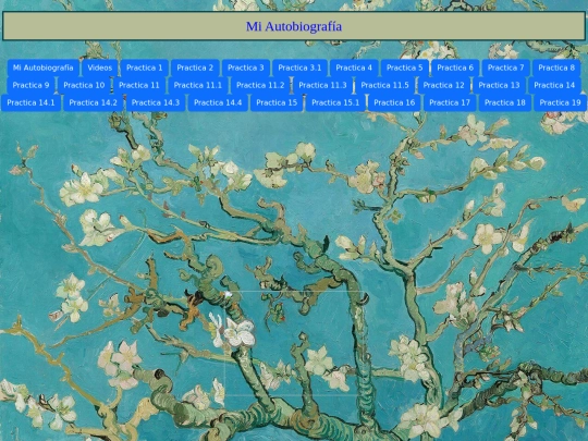 mi_autobiografia screenshot