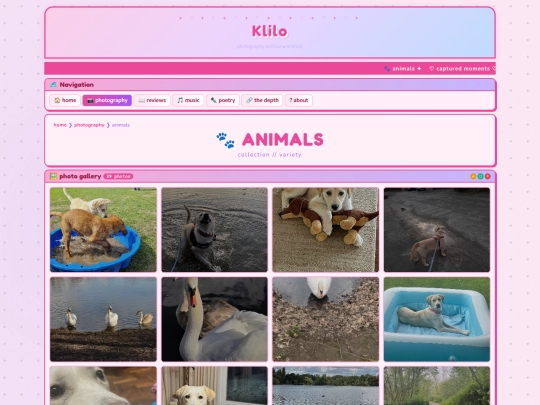 photos/pets screenshot