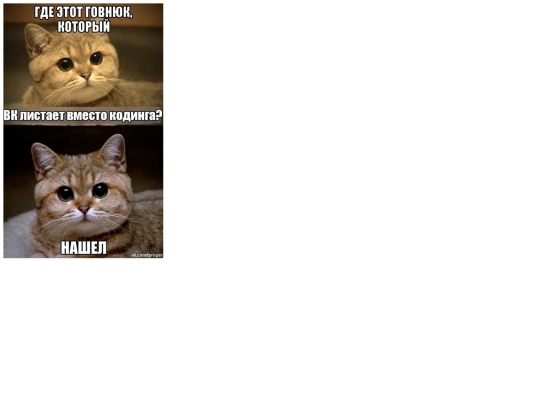 cat screenshot
