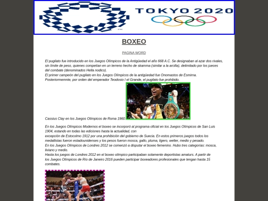 paginas/boxeo screenshot