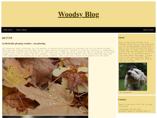 blog-post screenshot