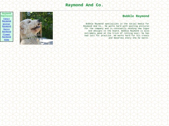 raymond-page/bubbleray screenshot
