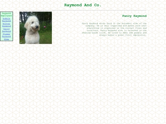 raymond-page/fancyray screenshot