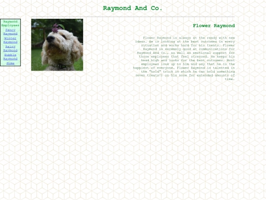 raymond-page/flowerray screenshot