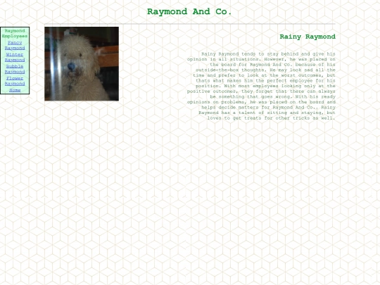raymond-page/rainyray screenshot