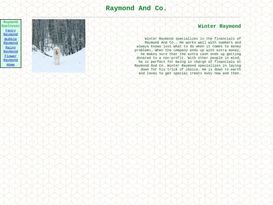 raymond-page/snowyray screenshot