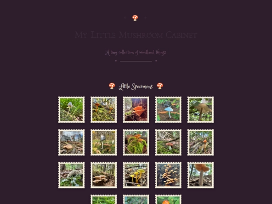 mushrooms screenshot