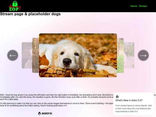 stream screenshot